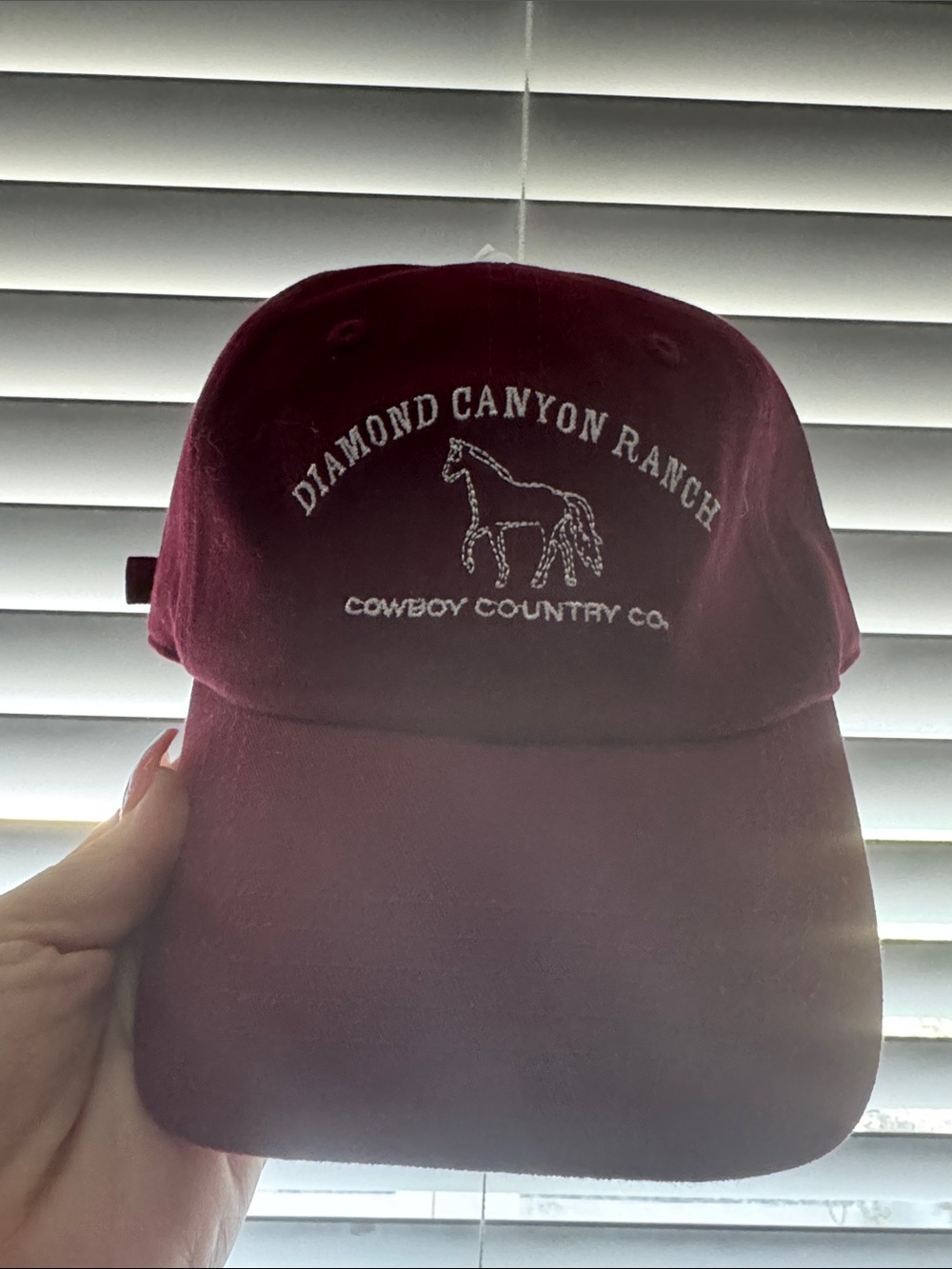 Universal Thread Burgundy Diamond Canyon Ranch Baseball Cap
